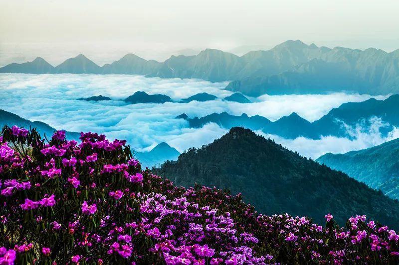 带娃文案短句干净治愈阳光